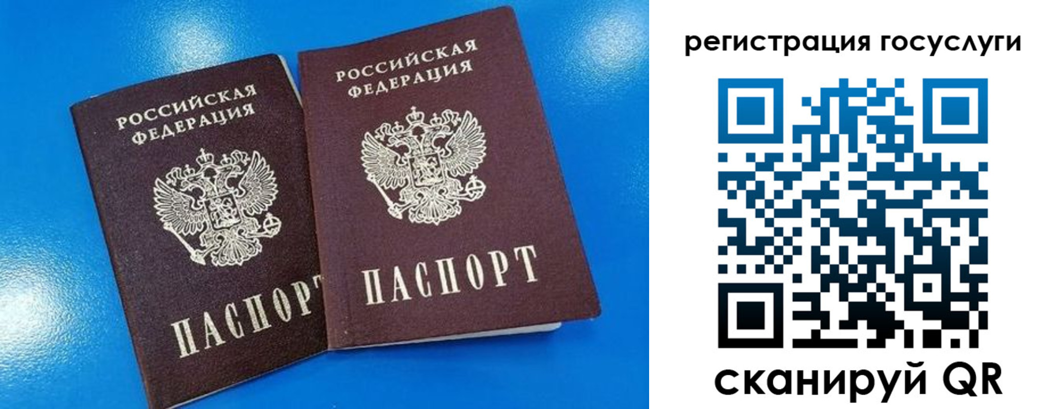 прописка гарантия в Красноярске